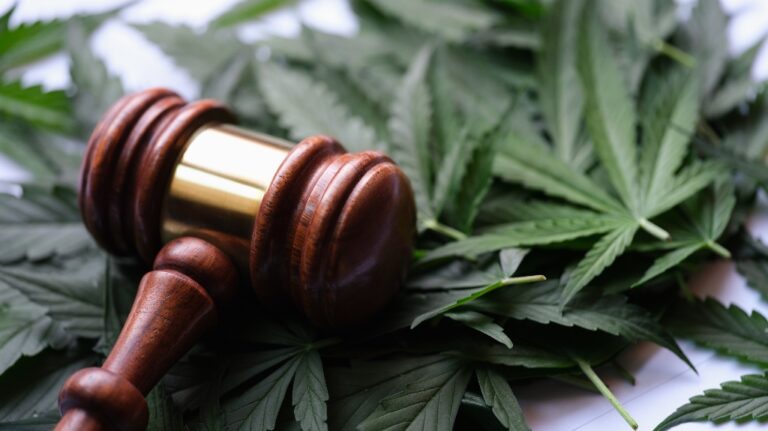 Cannabis with a gavel