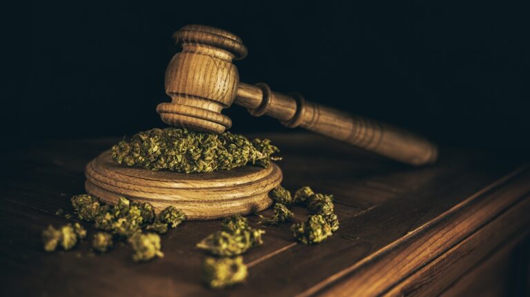 wooden judge hammer and sound block with seeds and flower of marijuana