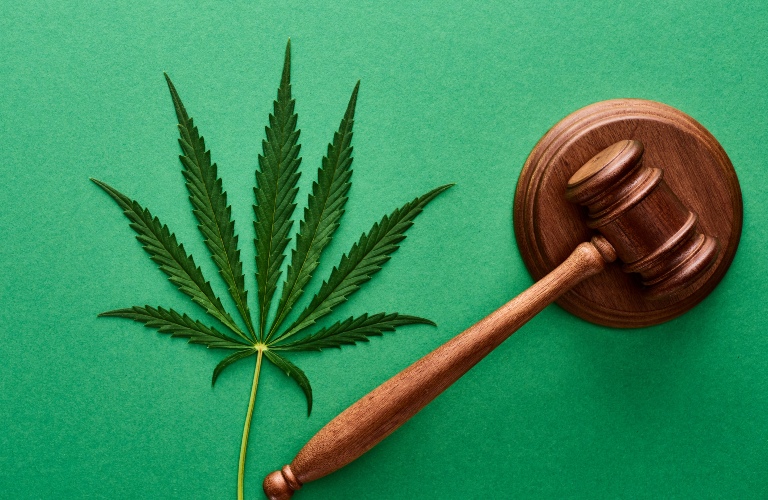 green cannabis leaf with wooden gavel