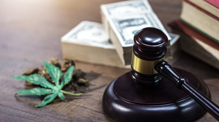 Judge's gavel, money and cannabis leaf